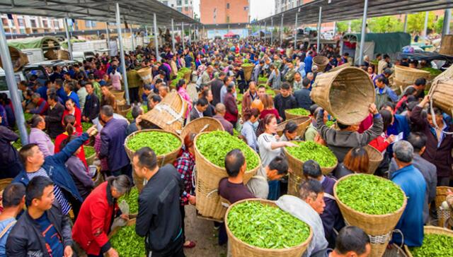 合肥哪里有好的茶葉批發(fā)市場？