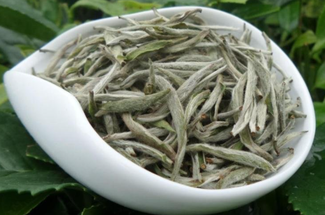 常喝茶葉茶有什么好處(經(jīng)常喝茶葉有什么好處有什么壞處)