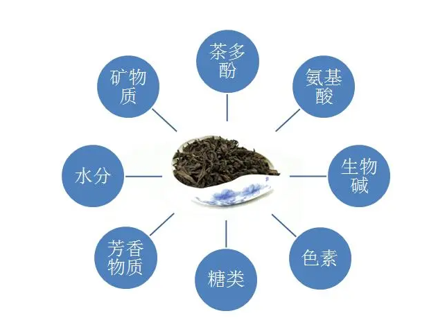 喝茶對人的身體有什么好處嗎？什么人不能喝茶？